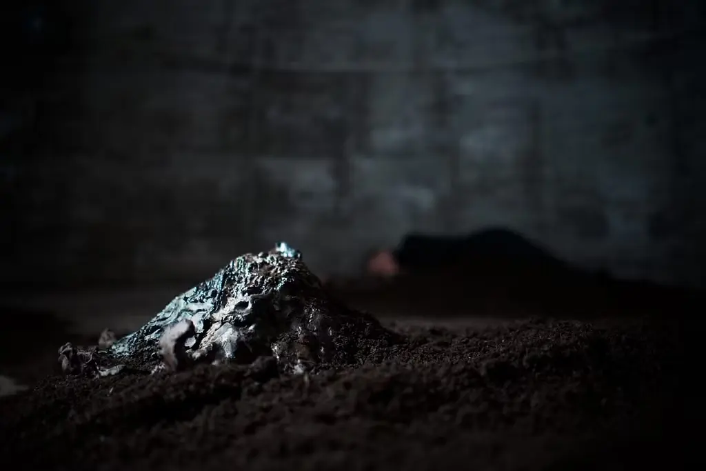 ENTANGLED er en multisensorisk og multiorganisk installation